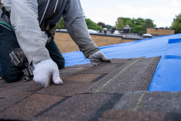 Best Gutter Installation and Roofing  in Double Springs, AL