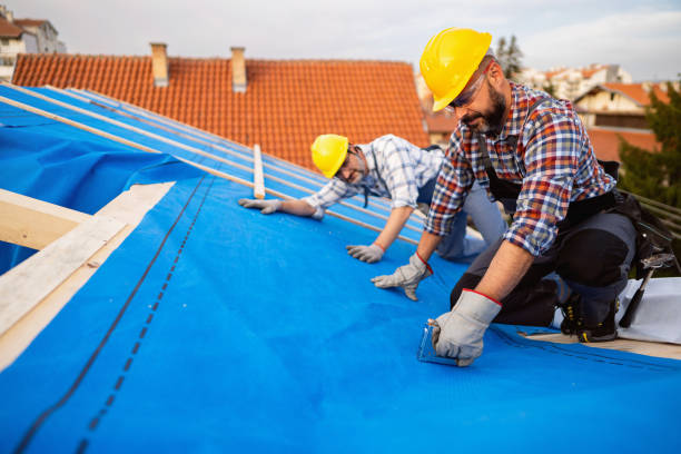 Best Roof Maintenance Services  in Double Springs, AL