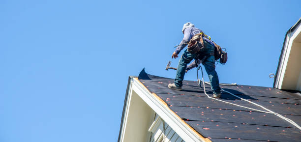 Best Metal Roofing Contractor  in Double Springs, AL