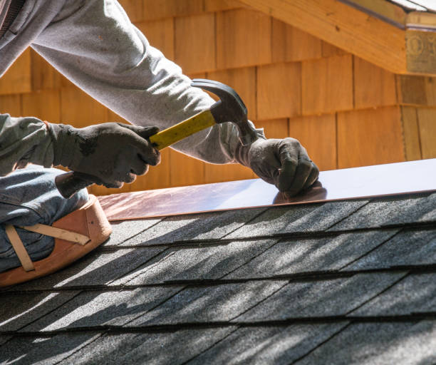 Best Local Roofing Companies  in Double Springs, AL